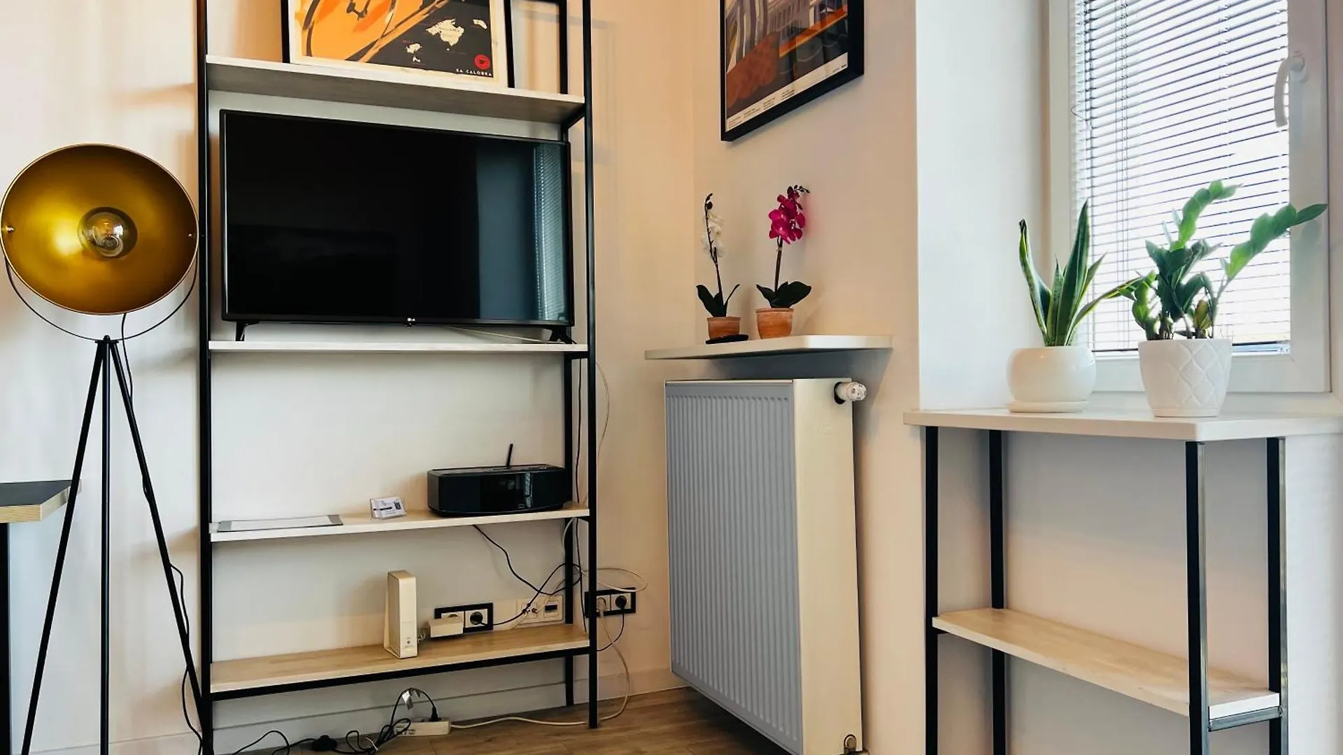 Lazienki Krolewskie Studio Z Antresola I Widokiem Warsaw Poland